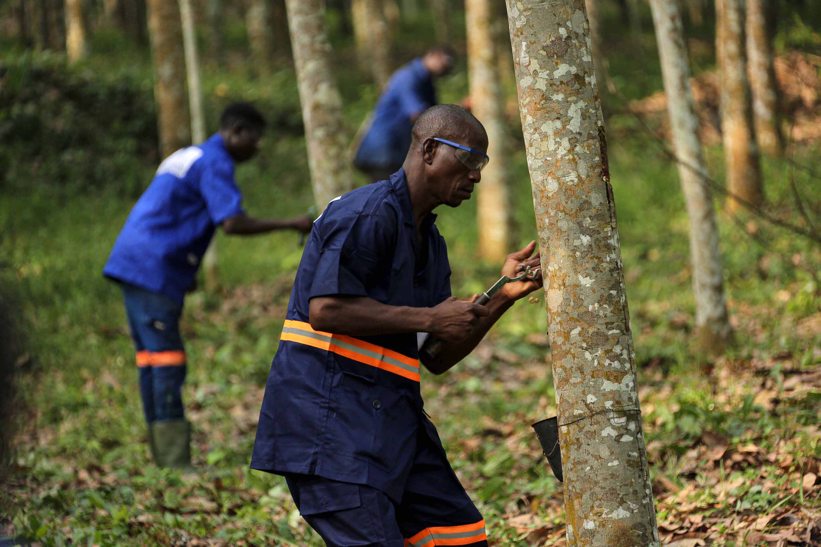 abb2e9dcb588401a93f4ca0fad24ebce