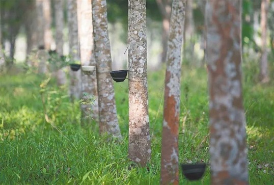 大宝娱乐-LG游戏|PT游戏|CQ9游戏