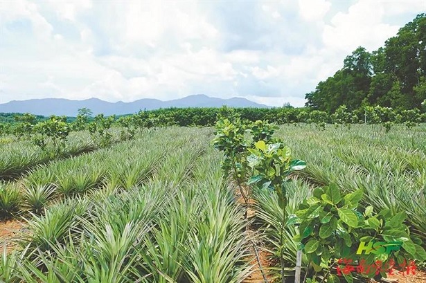 大宝娱乐-LG游戏|PT游戏|CQ9游戏