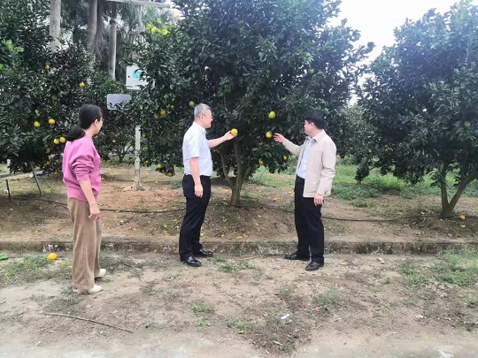 大宝娱乐-LG游戏|PT游戏|CQ9游戏