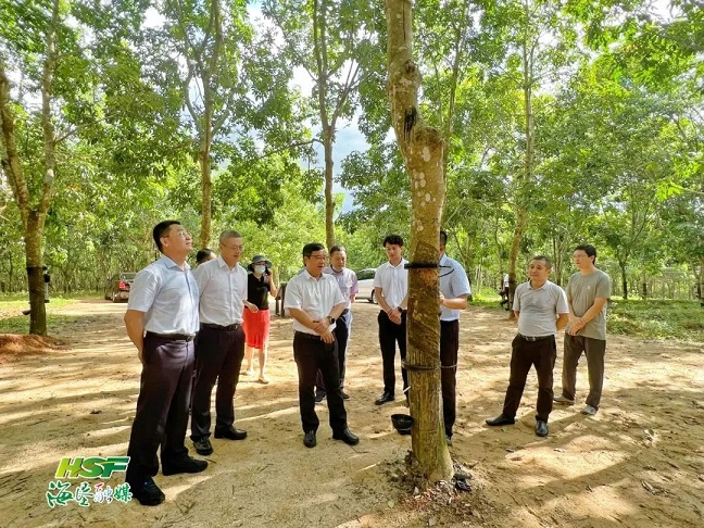 大宝娱乐-LG游戏|PT游戏|CQ9游戏