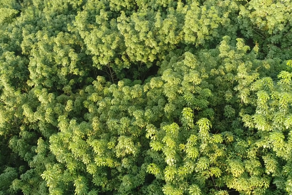 大宝娱乐-LG游戏|PT游戏|CQ9游戏