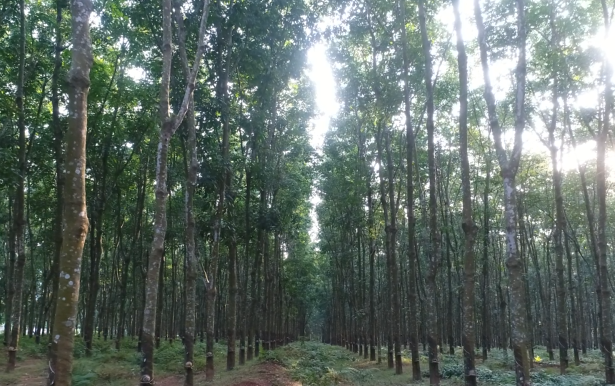 大宝娱乐-LG游戏|PT游戏|CQ9游戏