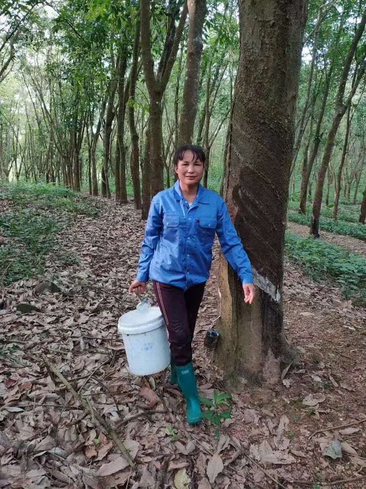 大宝娱乐-LG游戏|PT游戏|CQ9游戏